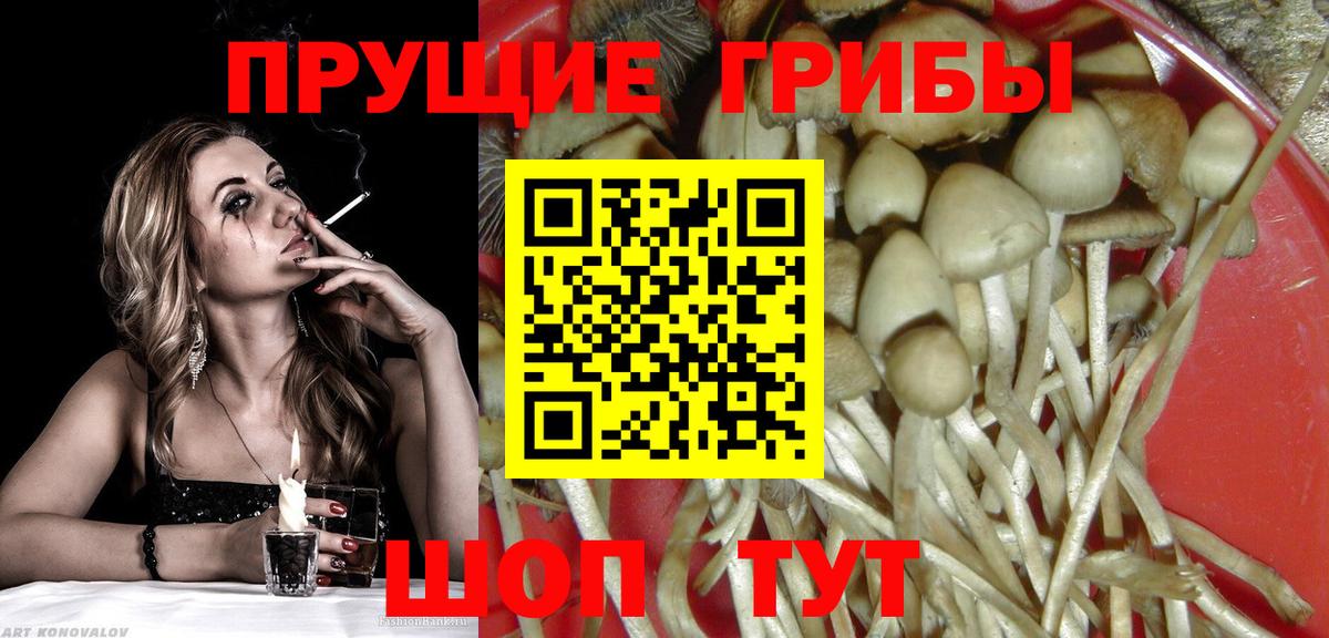 Галлюциногенные грибы мицелий Туймазы